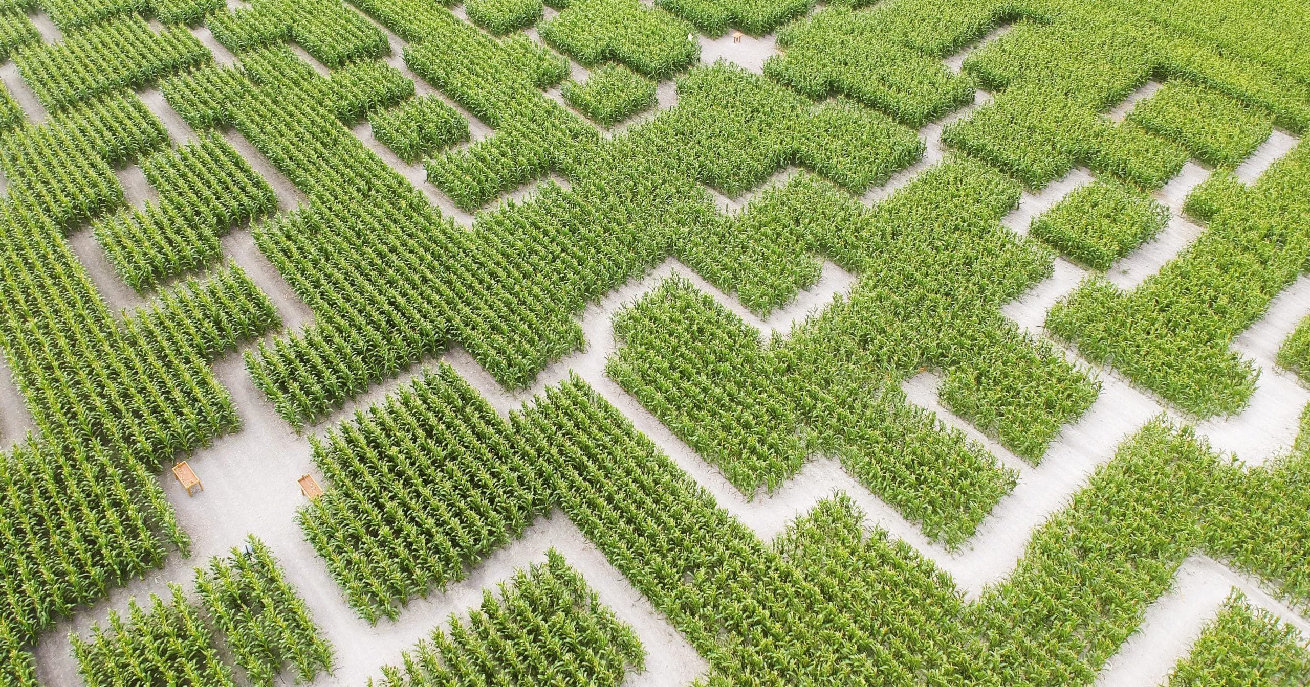 Vue du labyrinthe