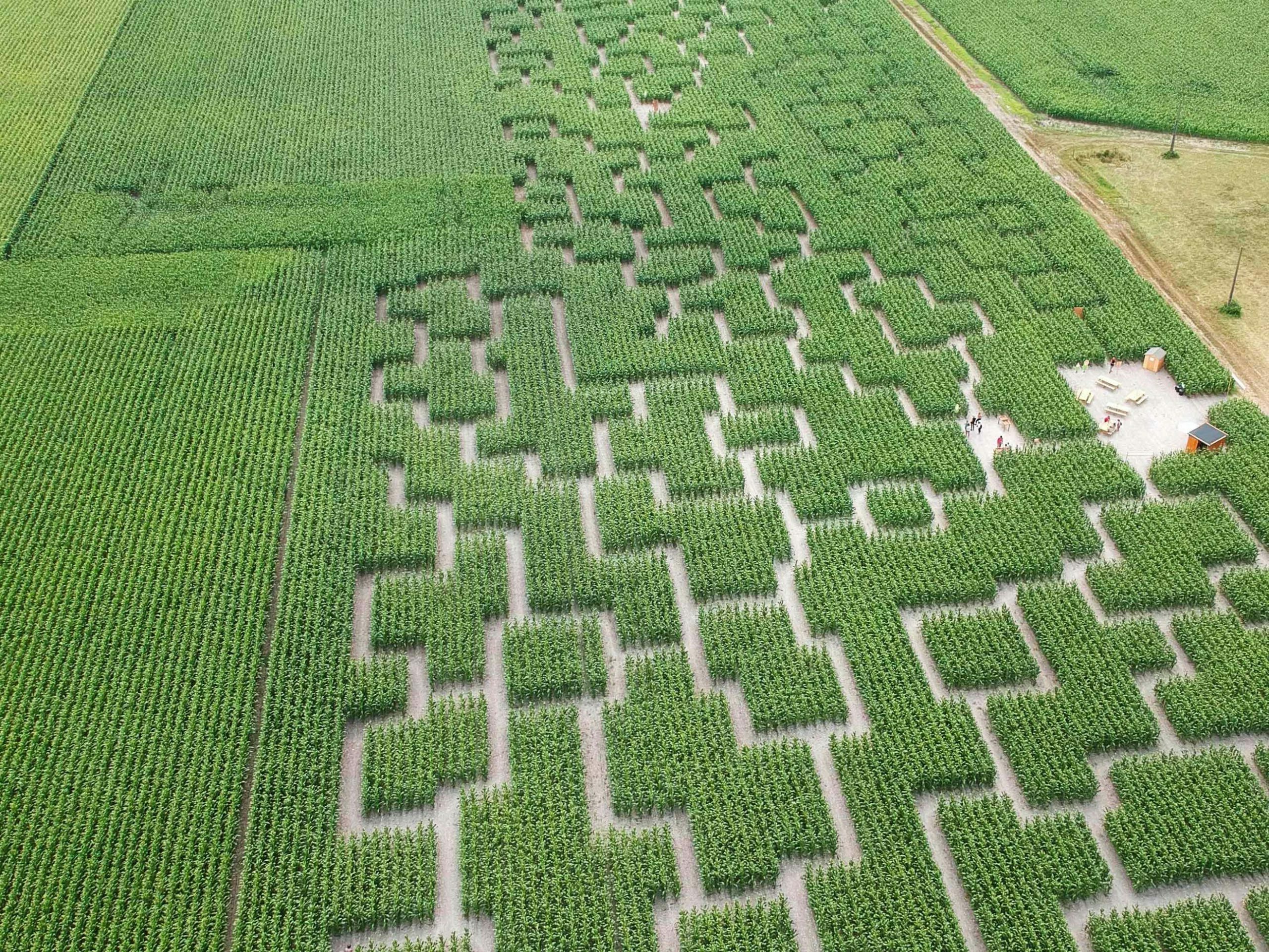 Vue du labyrinthe