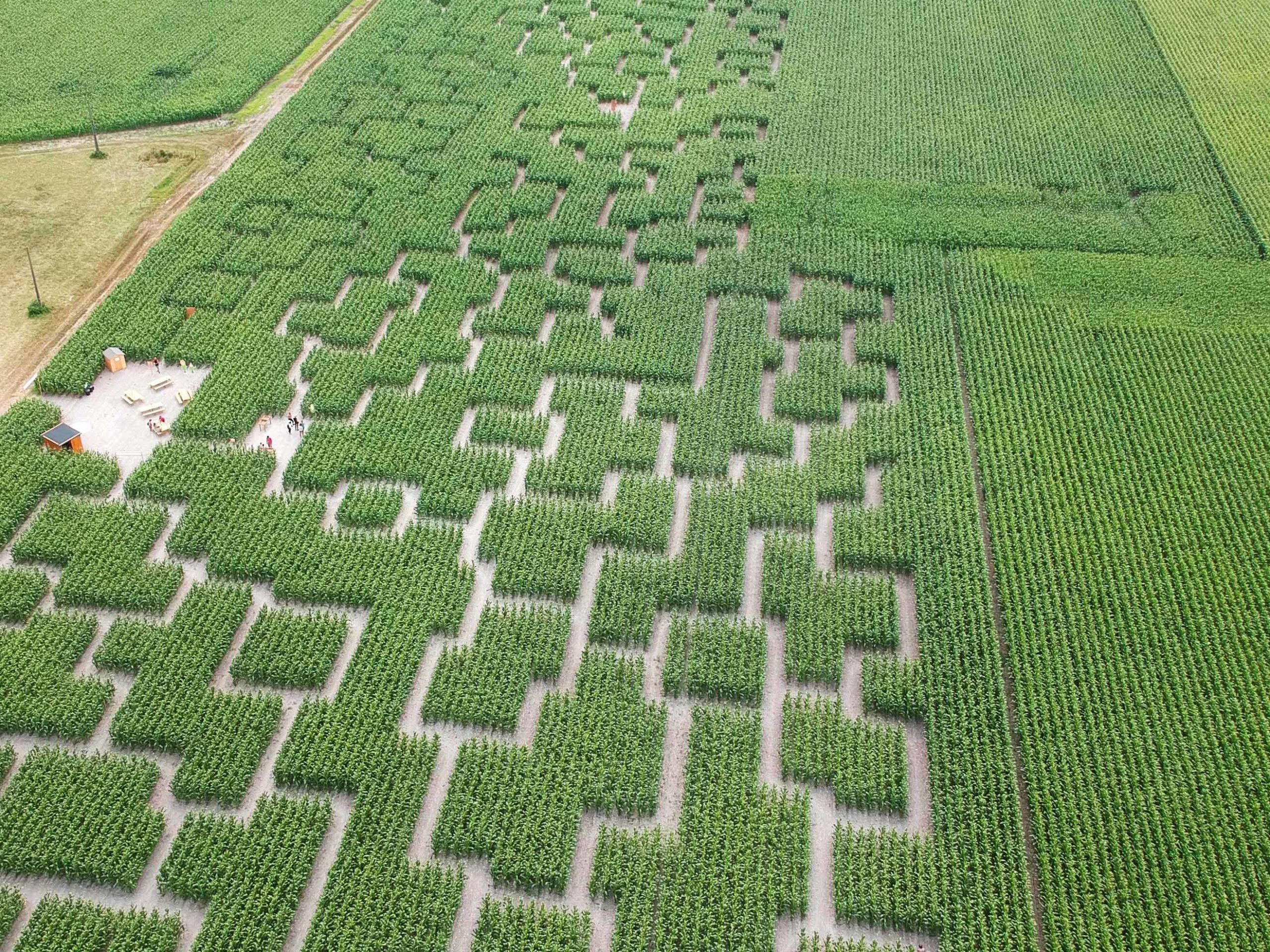 Vue du labyrinthe