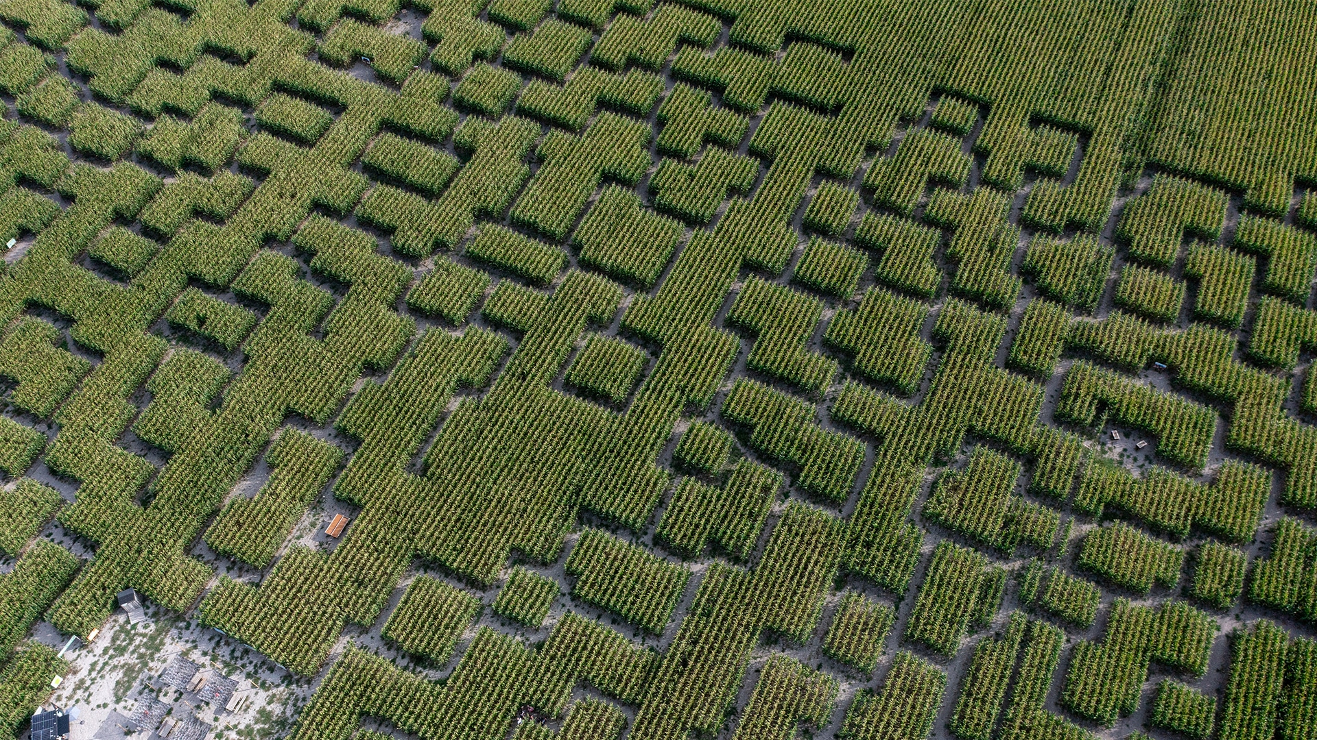 Vue du labyrinthe