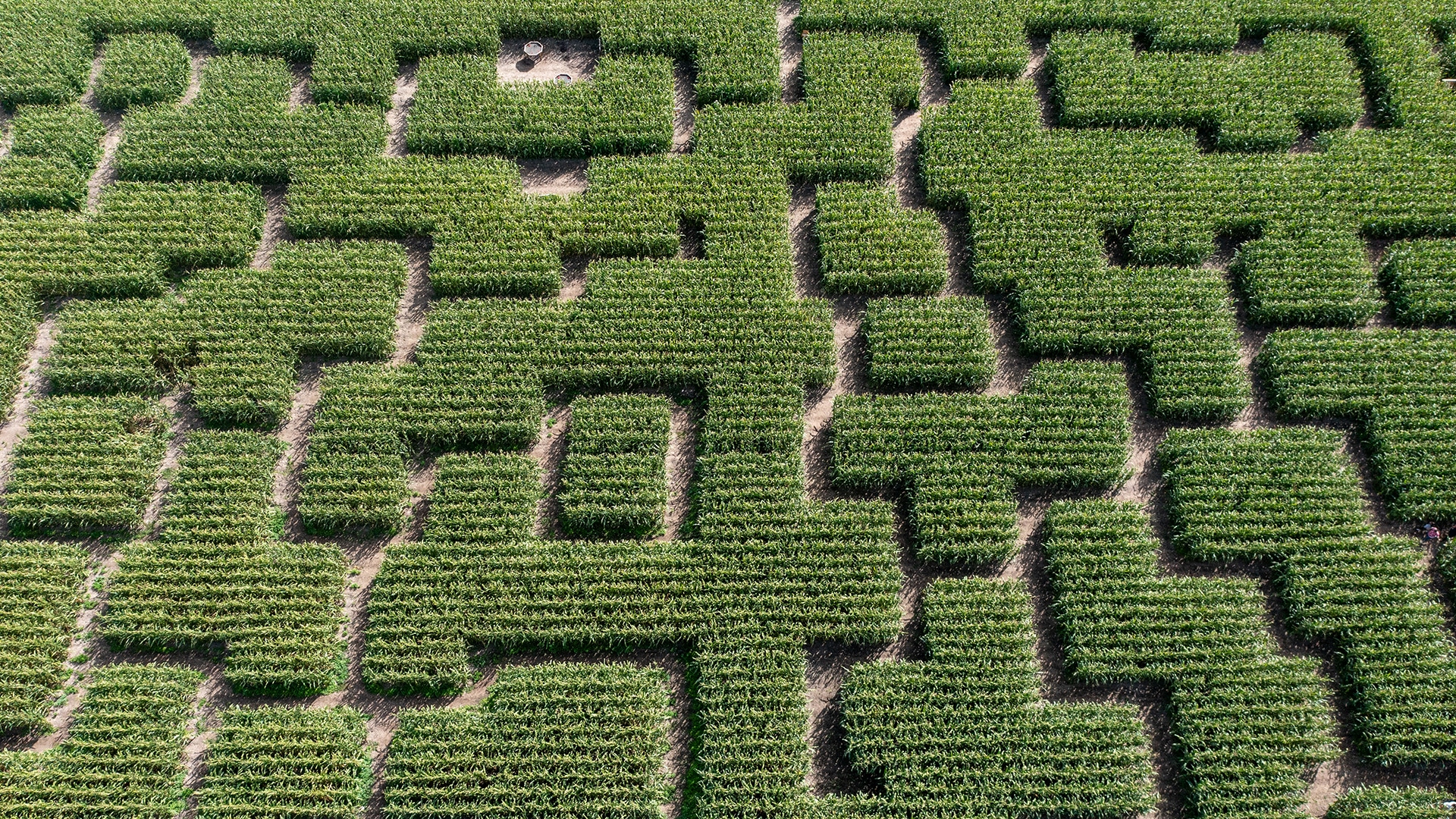 Vue du labyrinthe