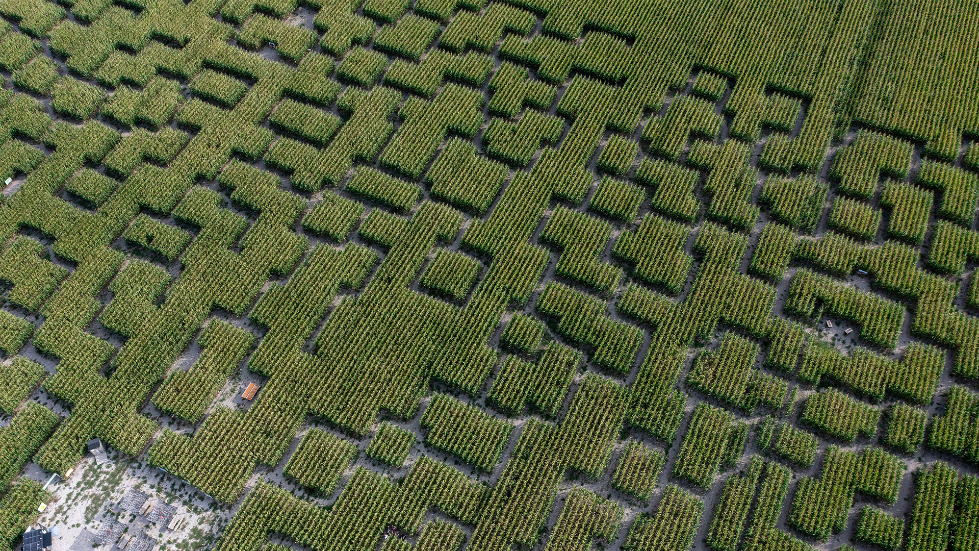 Vue du labyrinthe