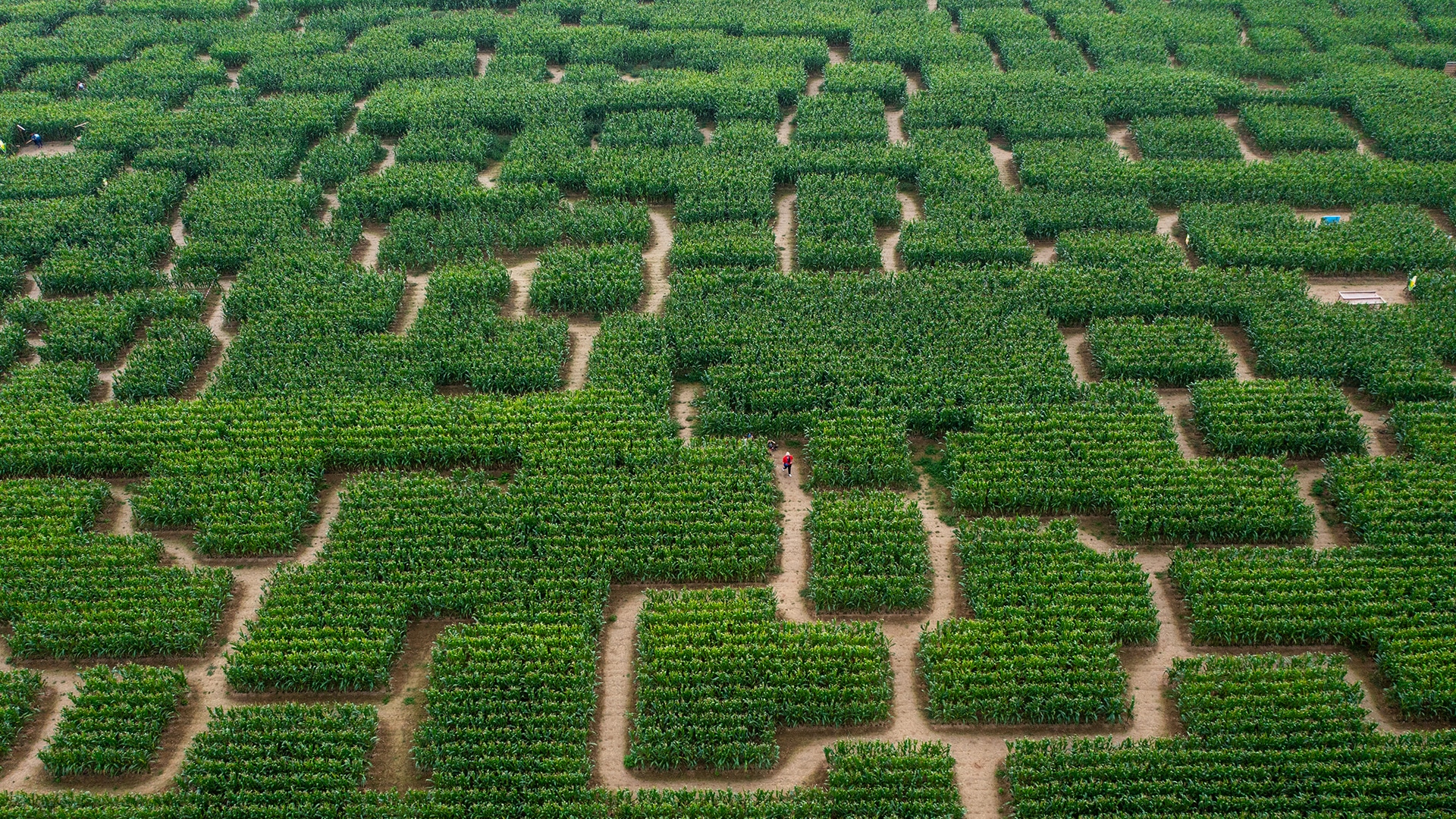 Vue du labyrinthe