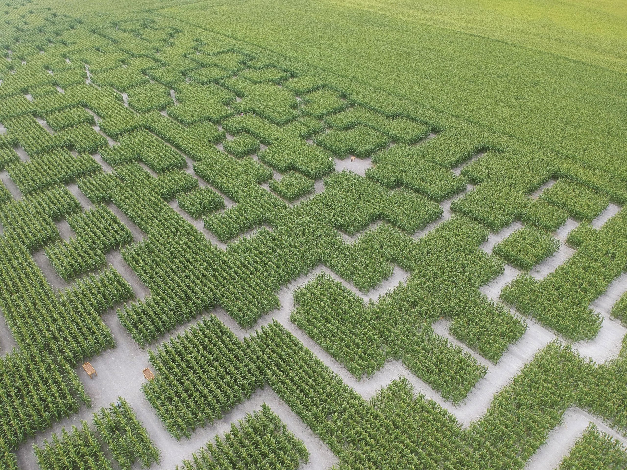 Vue du labyrinthe
