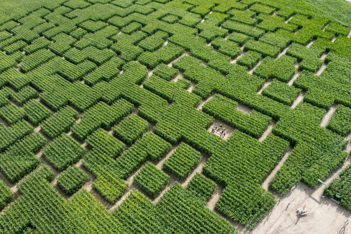 3a6823c2b7ba414496643db94782f3d1d2acf8d8