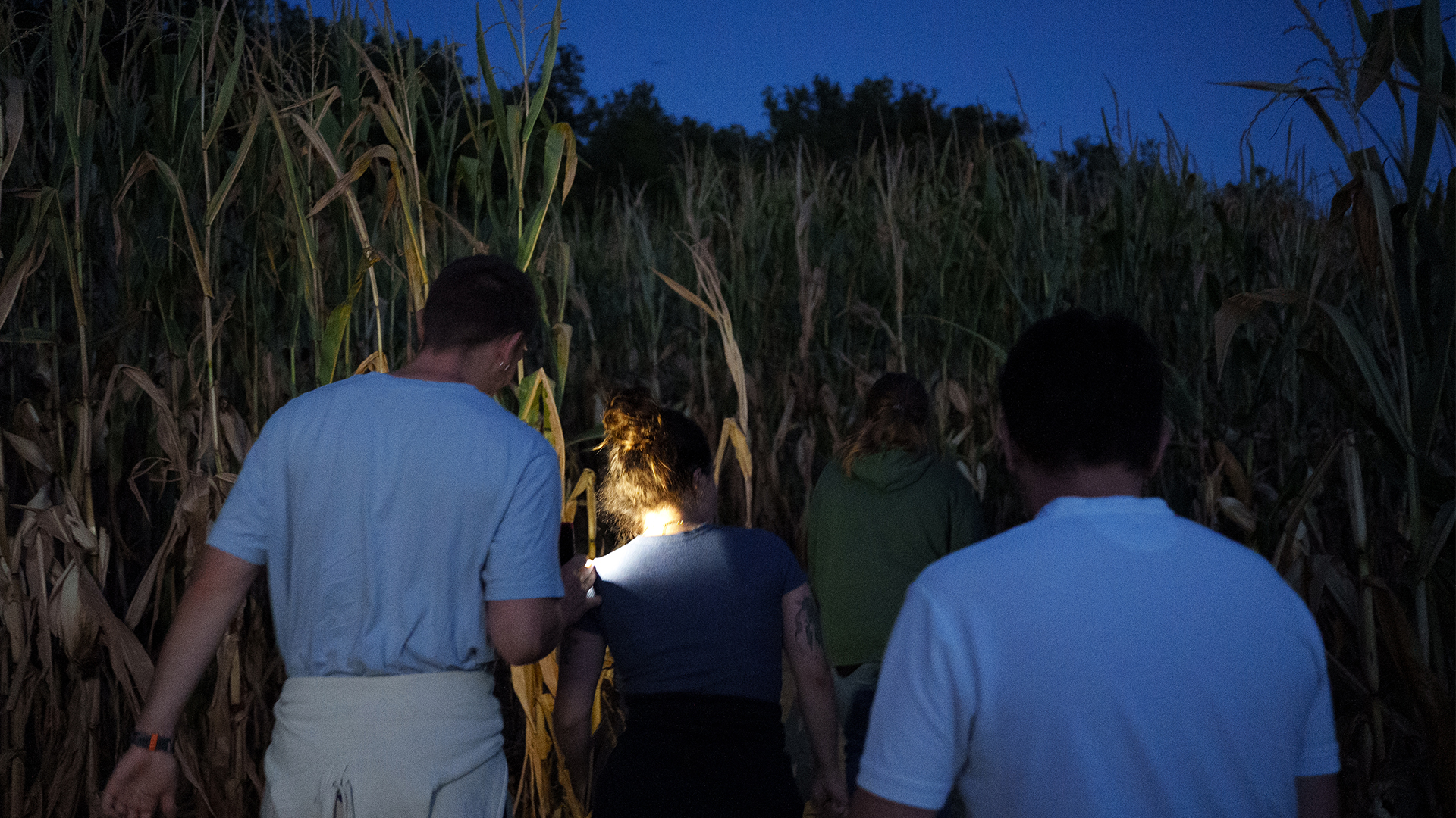Photo parcours jeux en bois nocturne pop corn labyrinthe