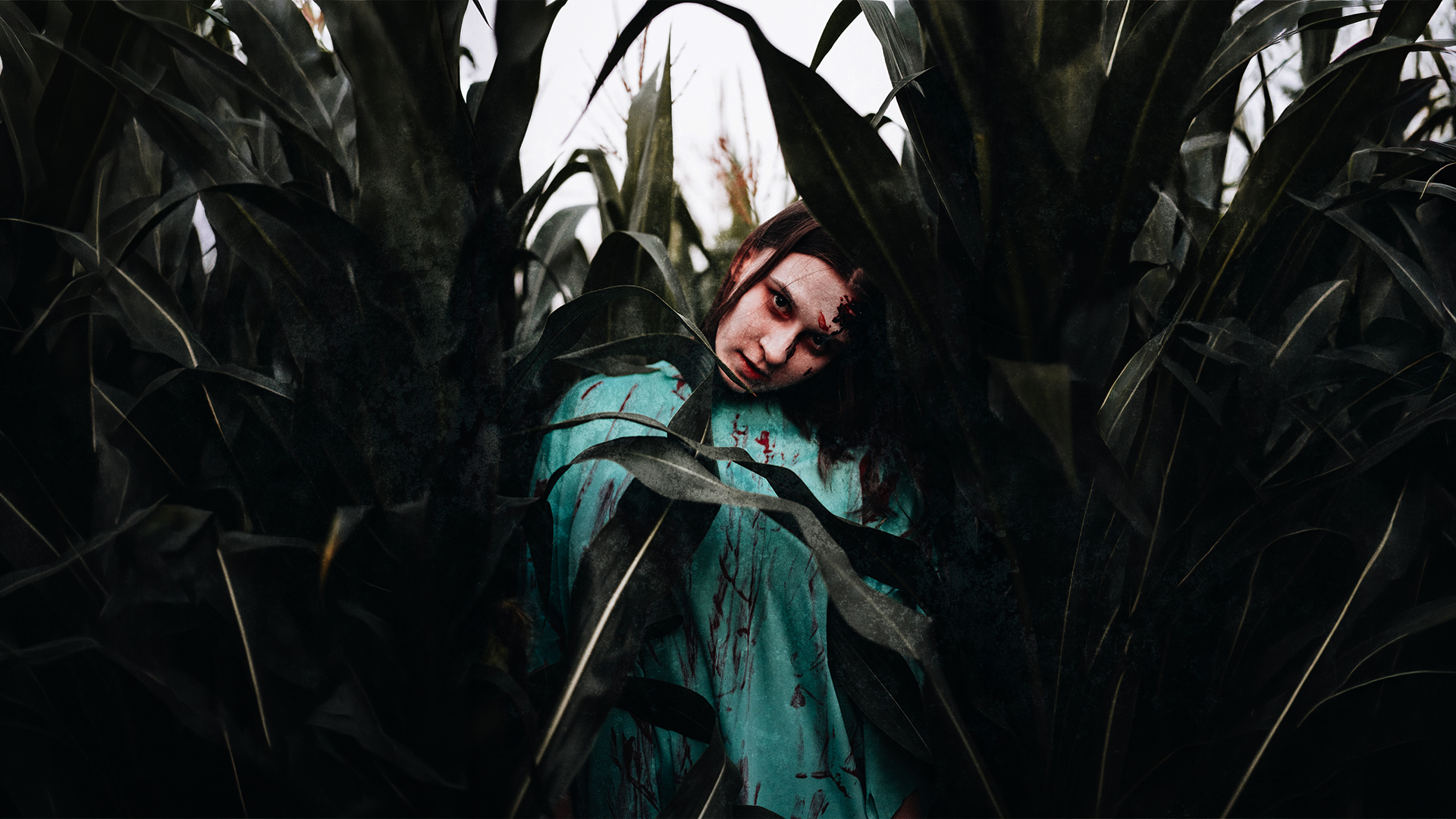 Photo nuit de lhorreur pop corn labyrinthe