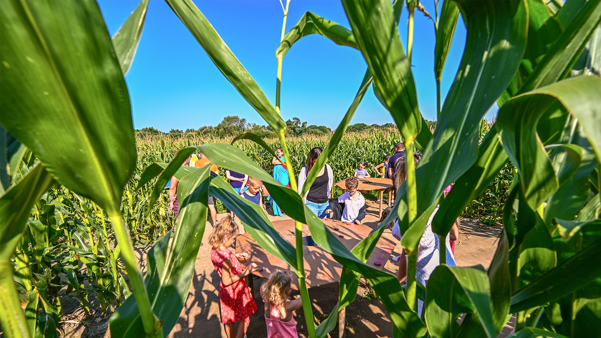 Groupe familles cse pop corn labyrinthe