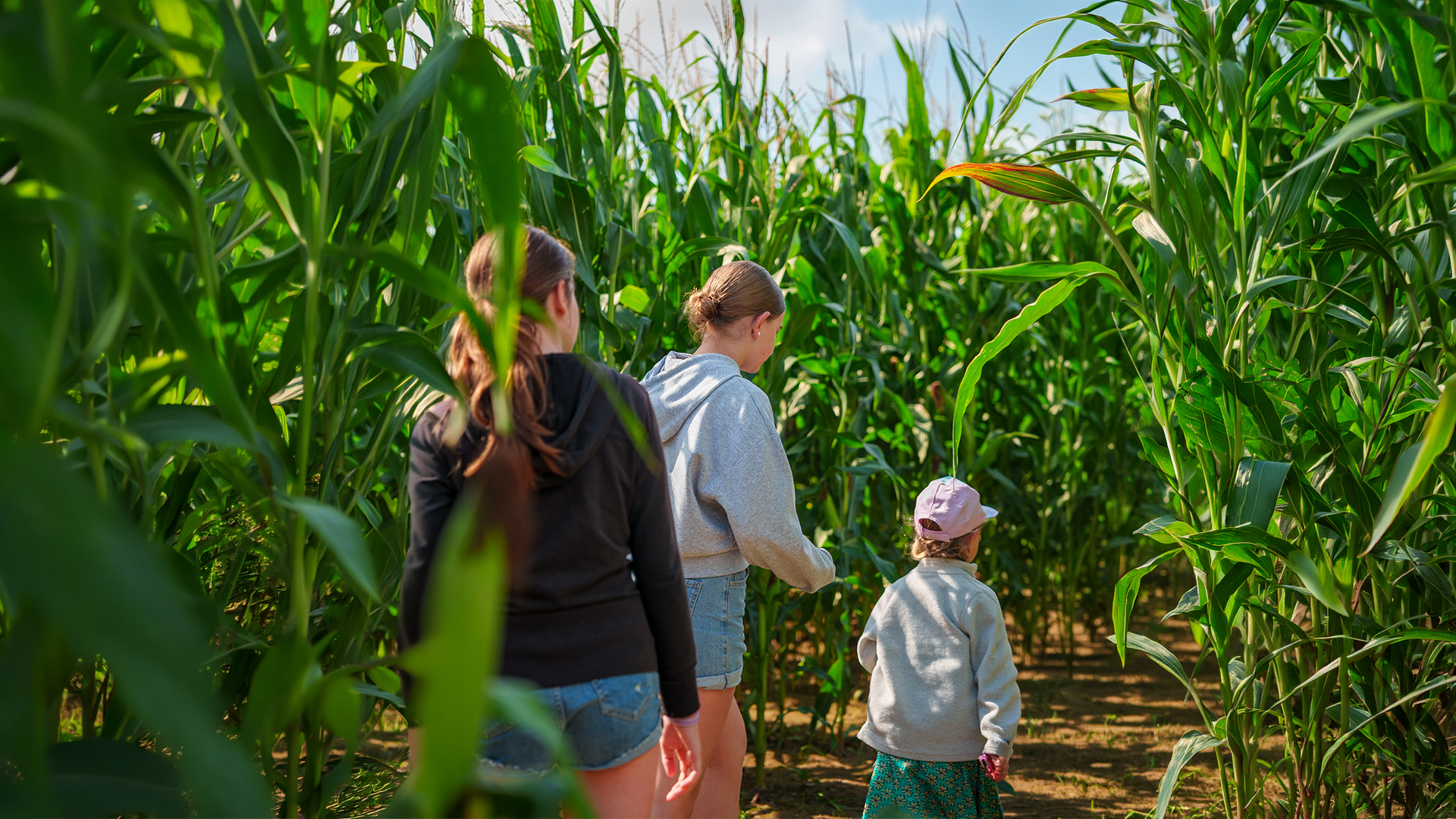 Groupe scolaire pleinair pop corn labyrinthe