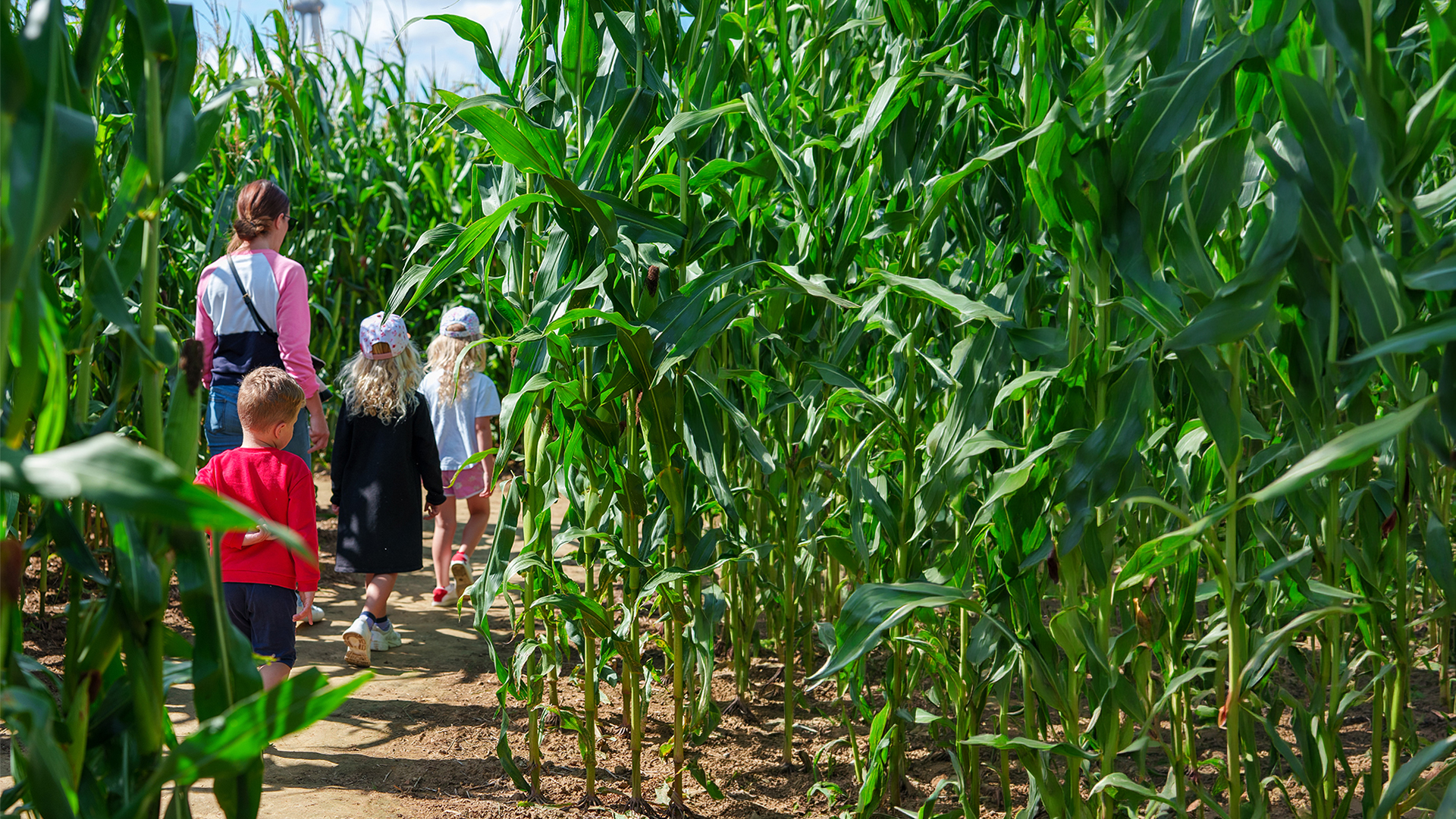 Groupe scolaire centre loisirs pop corn labyrinthe