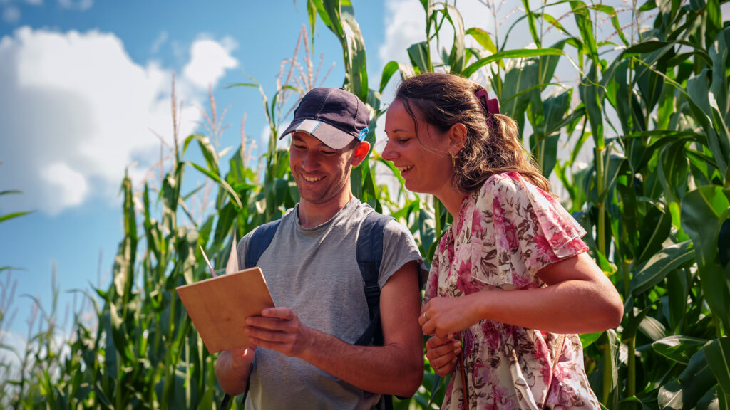 Photo corn murder party jour pop corn labyrinthe