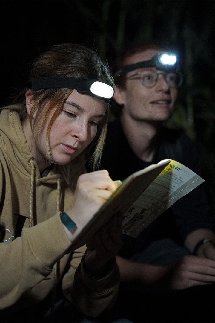 Photo corn murder party nocturne pop corn labyrinthe