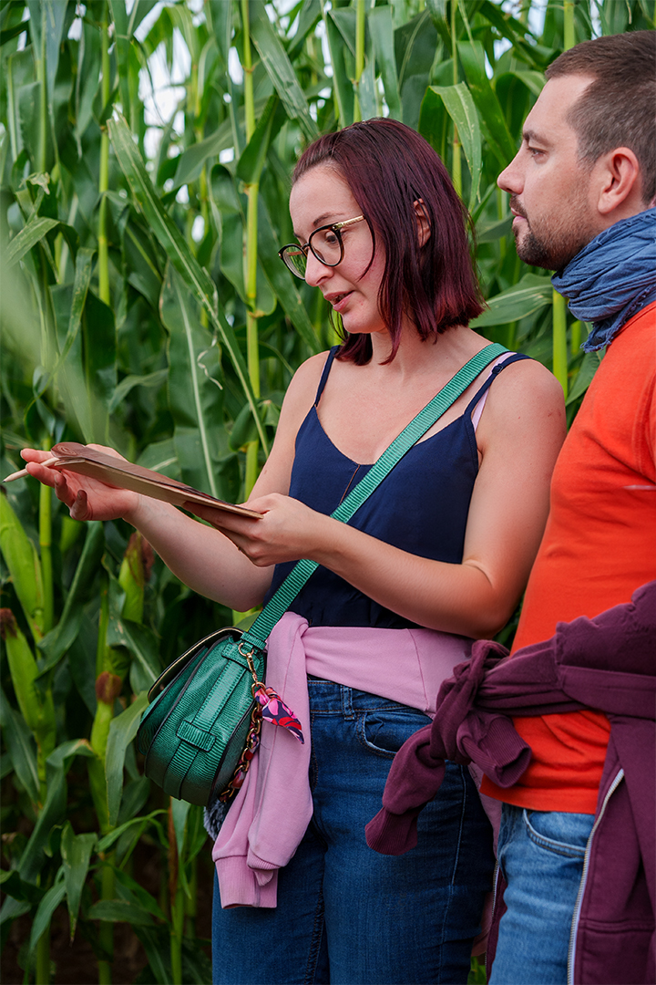 Photo corn murder party jour pop corn labyrinthe