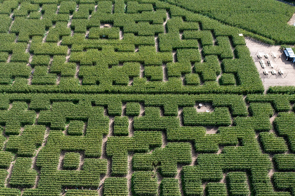 Pop corn labyrinthe angers aerien