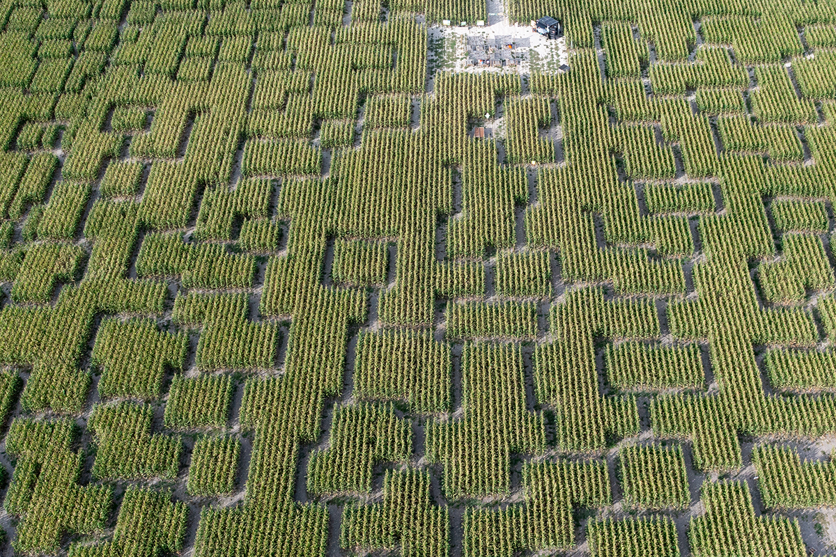 Pop corn labyrinthe latremblade aerien