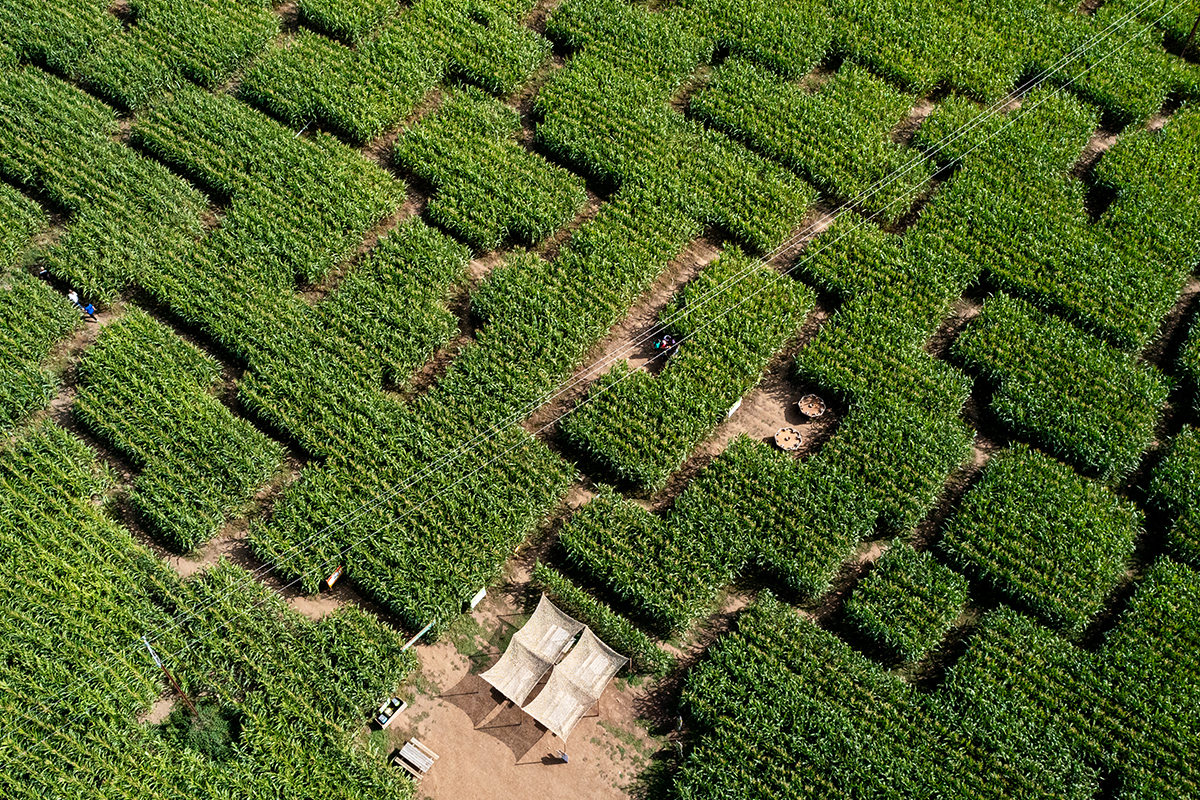 Pop corn labyrinthe prades aerien