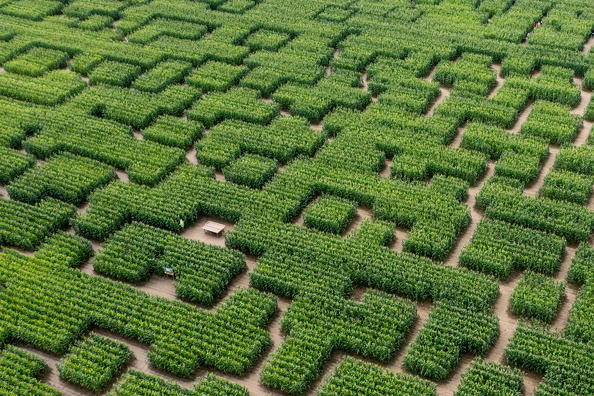 Pop corn labyrinthe rouen aerien