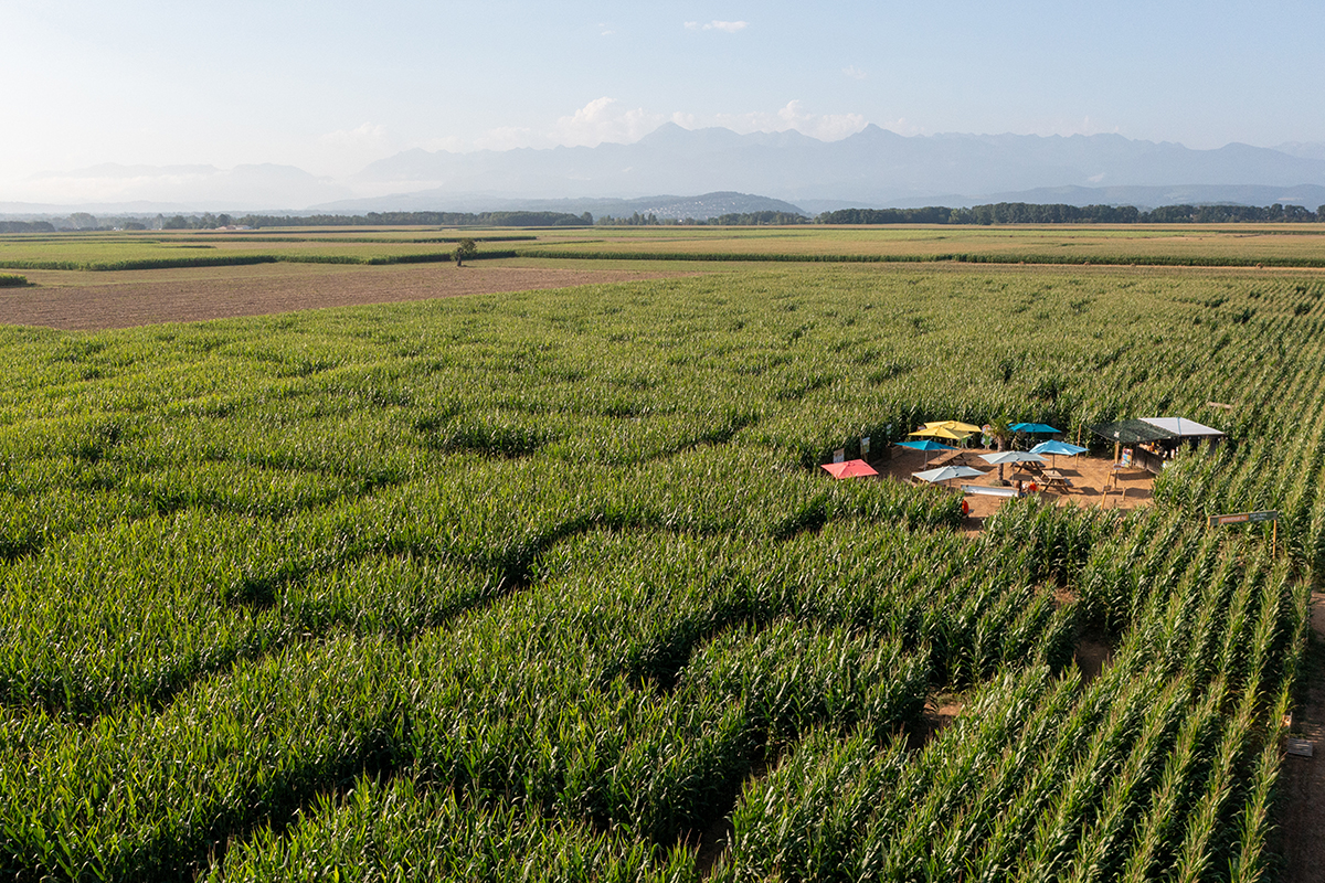 Pop corn labyrinthe tarbes aerien