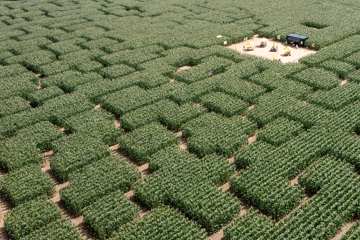 Pop corn labyrinthe caen aerien