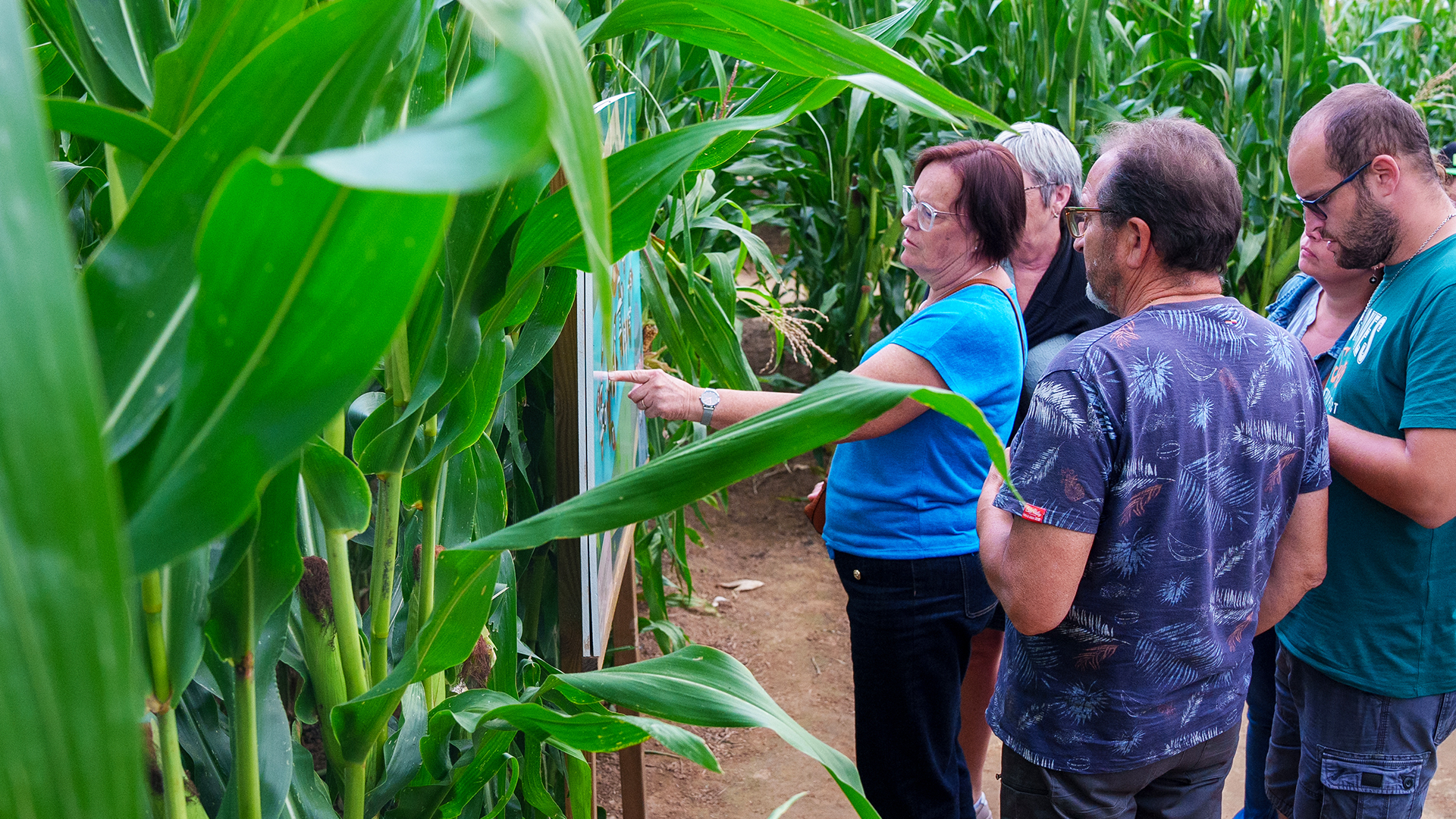 Groupe association pop corn labyrinthe
