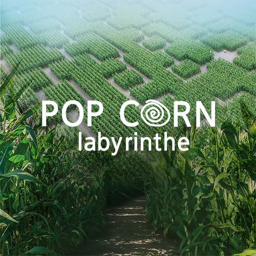 Logo pop corn labyrinthe presse