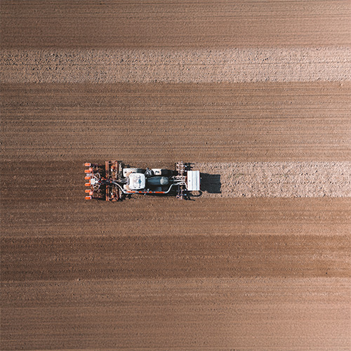 Photo cp traçage site