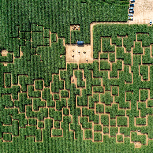 Photo ouverture site