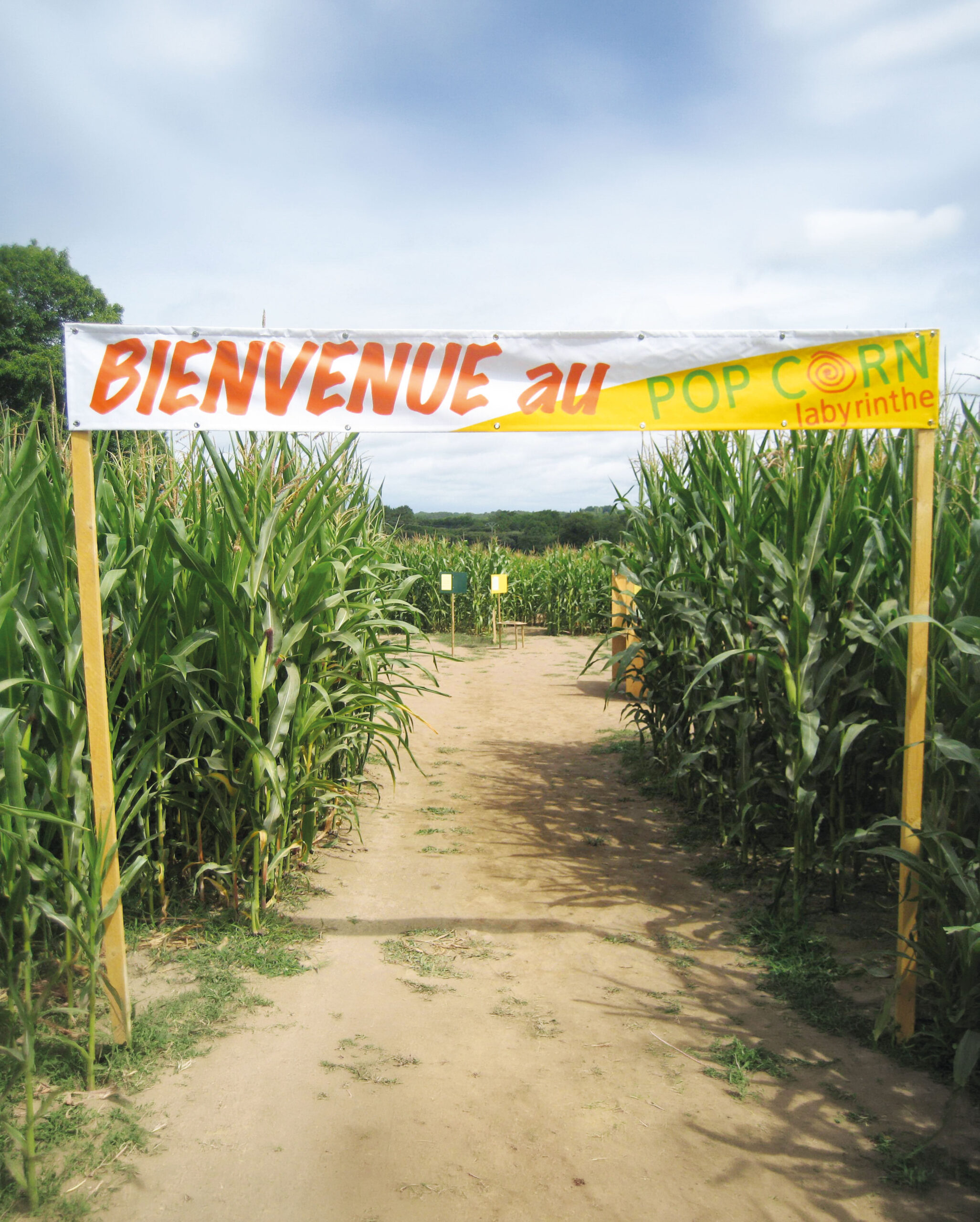 Popcornlabyrinthe lesorigines accueil