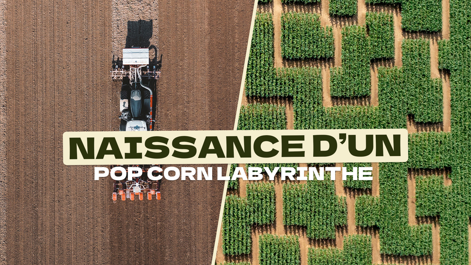 Comment naît un labyrinthe de maïs ?