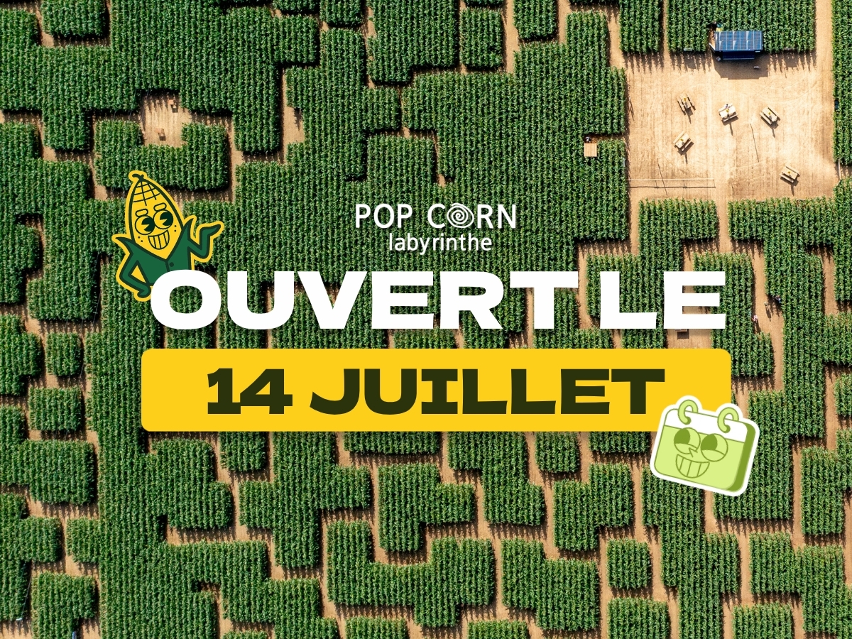 14 juillet google