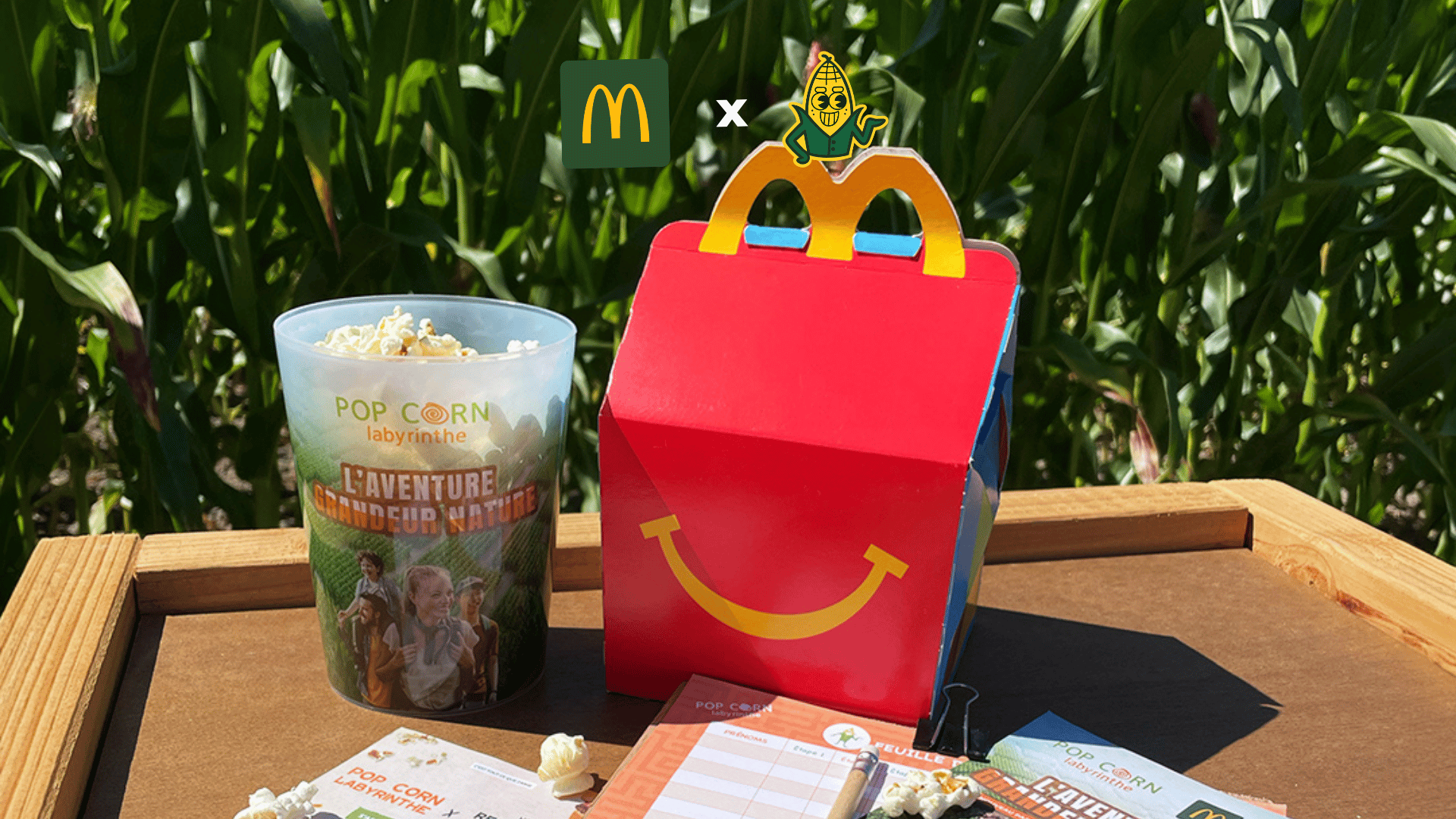 Mcdo banniere article