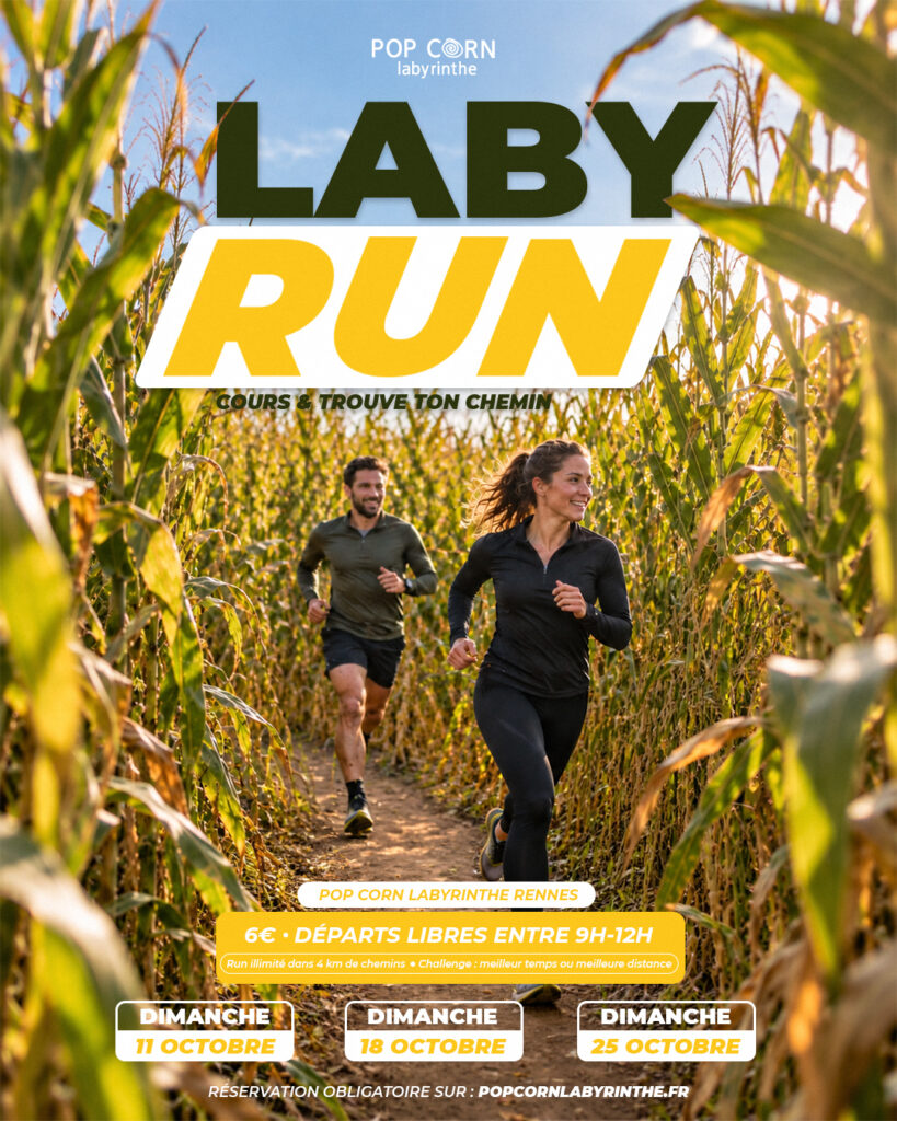 3 labyrun